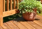 Bindulipatios-4.jpg; ?>